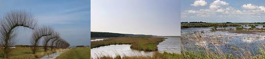 In Nederland door natuurgebieden wandelen met iPhone app