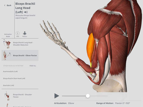 Complete Anatomy