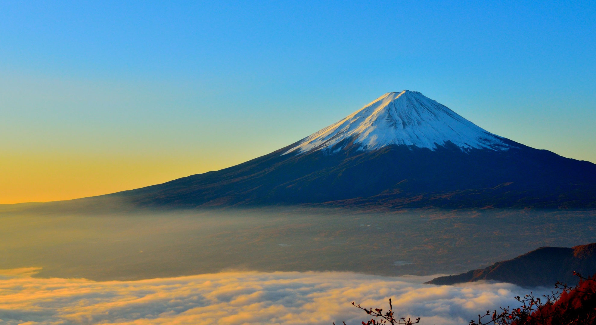 fuji