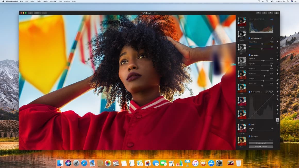 Pixelmator Pro review