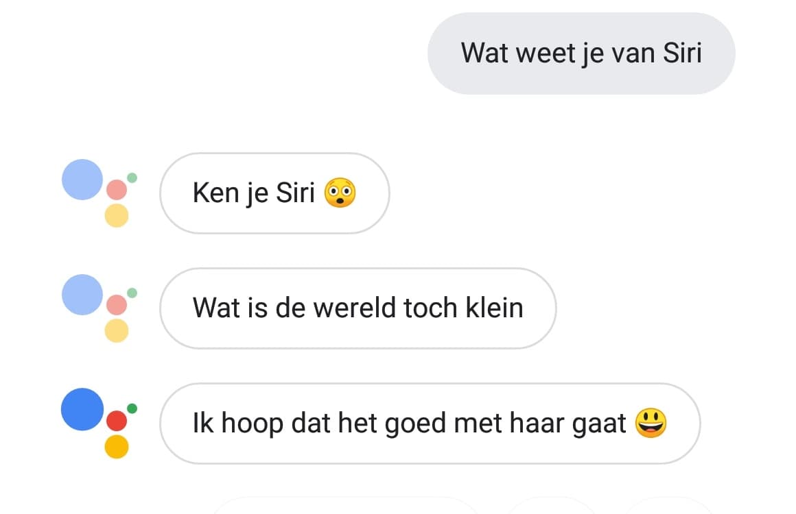 Google Assistent Nederlands