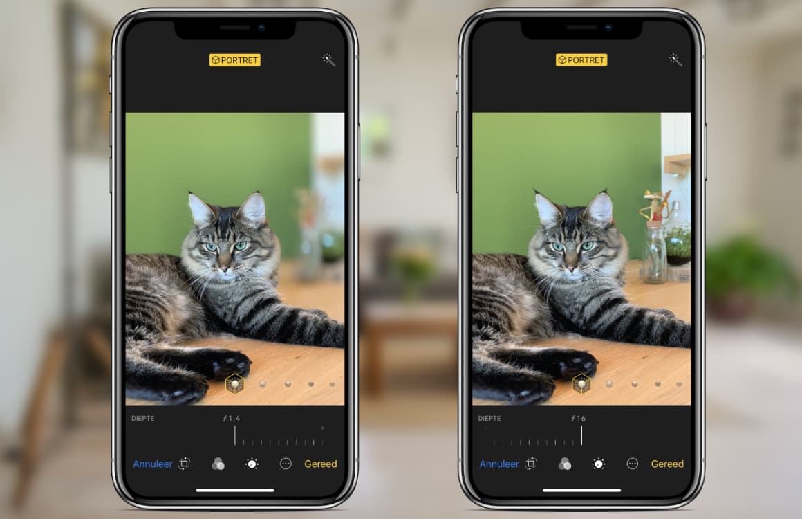 Het diepte-effect van een iPhone XS Portretfoto aanpassen: zo doe je dat