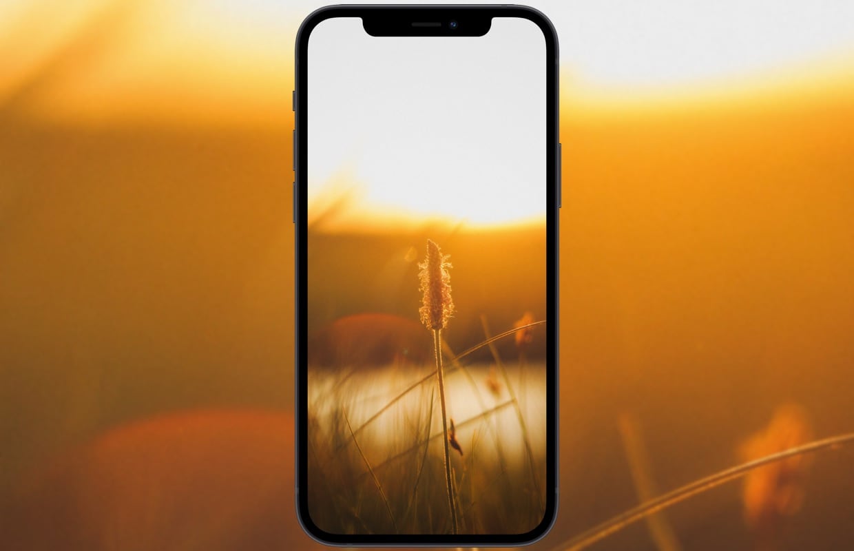 De beste iPhone-wallpapers van de week (Wallpaper Weekly #34 2021)