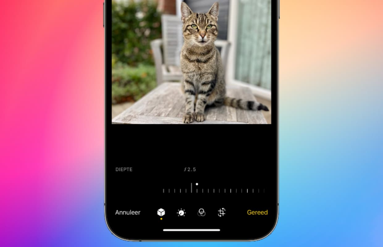 iPhone portretfoto’s maken: de mooiste foto’s in drie stappen (dat kan iedereen)