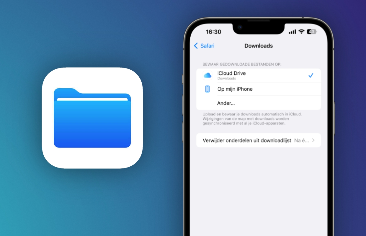 Downloads op je iPhone via Safari en Chrome – hier vind je ze terug