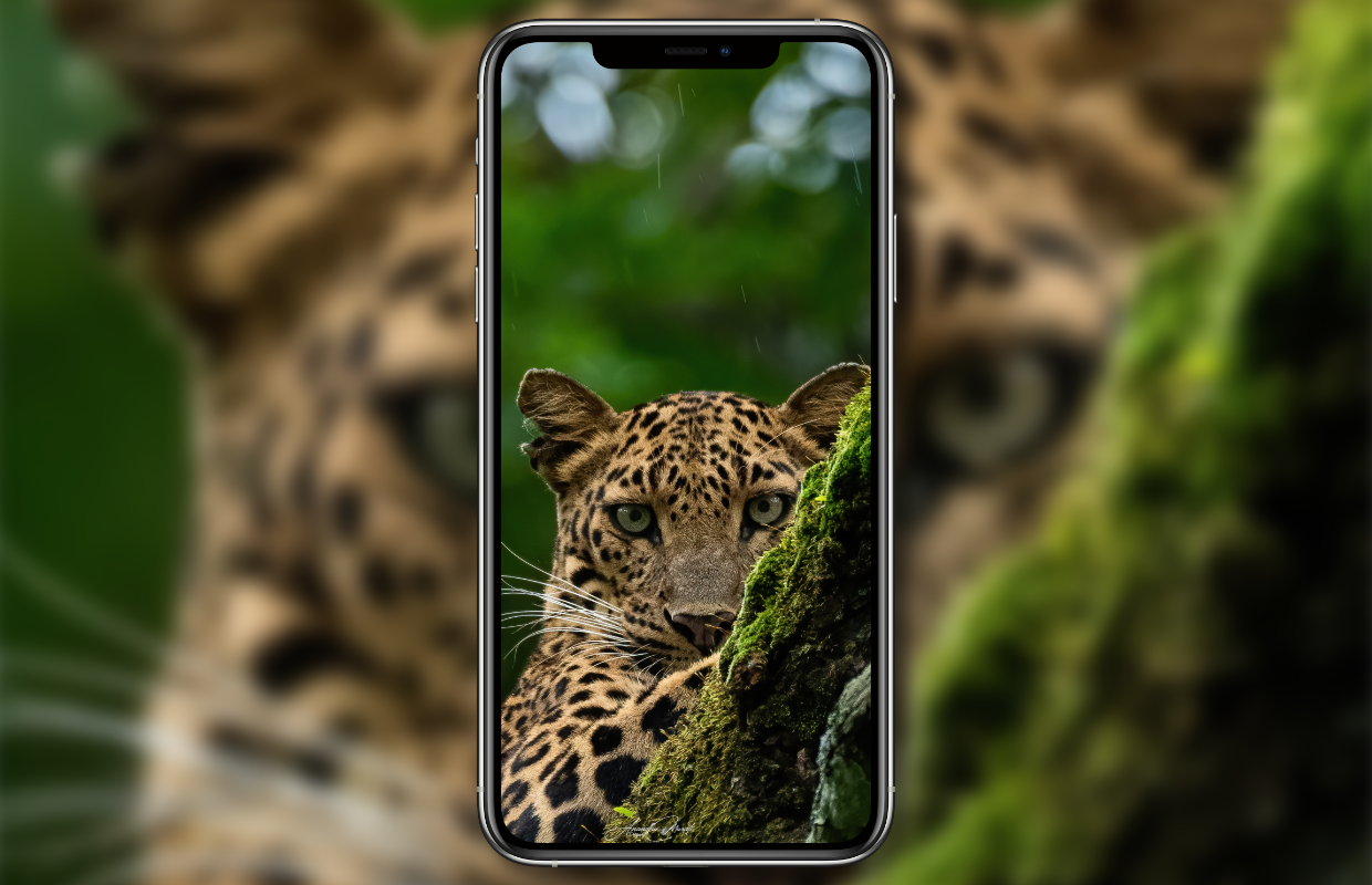 De beste iPhone-wallpapers van de week (Wallpaper Weekly #23 2024)